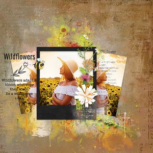 Wildflower