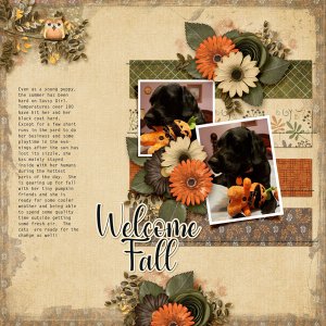 Welcome Fall