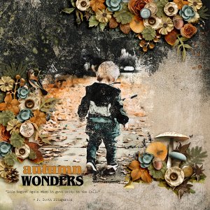 Autumn Wonders