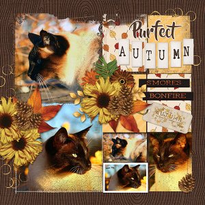 Purfect-Autumn.jpg