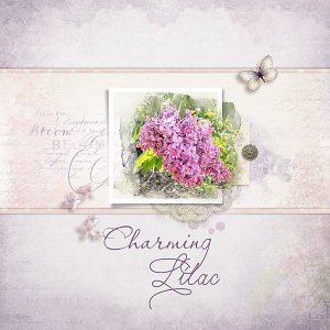 Charming Lilac