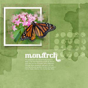 Monarch