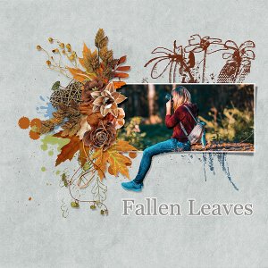 fallen leaves