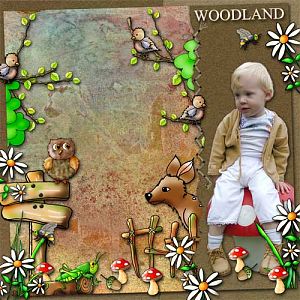 Woodland