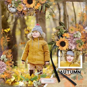autumn-vibes