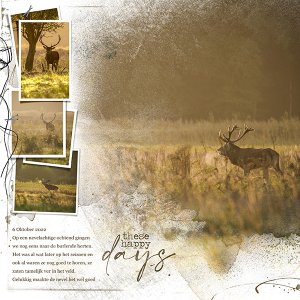 Life Stories Templates