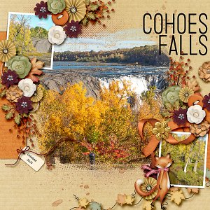 Cohoes Falls