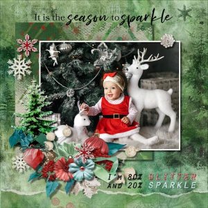 Sparkling season - DutchDreamDesigns