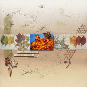 Jan23 _ Designer C hallenges _Four Seasonsi.jpg