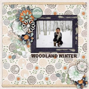 Woodland-winter.jpg