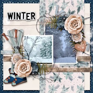 Winter Wonders