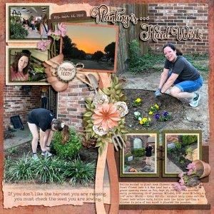 Planting Flowers - Fall 2022