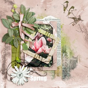 Door3_Spring