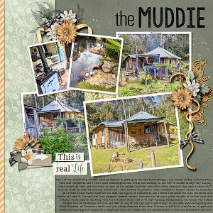 The Muddie