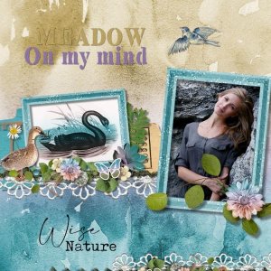 Meadow on my mind