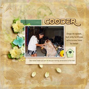 MAY-PAPER-CHALLENGE-COODER.jpg