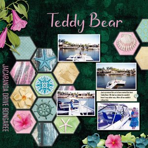 SPOTLIGHT-CHALLENGE---DUTCH-DREAM---TEDDY-BEAR.jpg