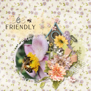Bee friendly