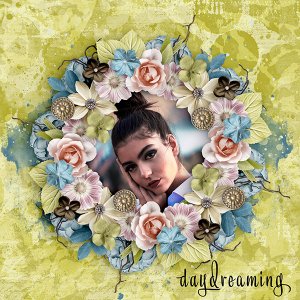Day Dreamer