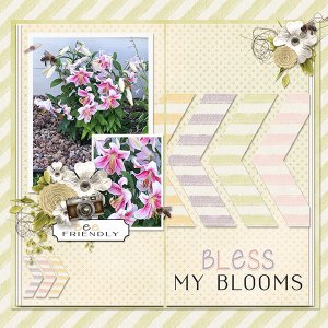 Bless-My-Blooms.jpg