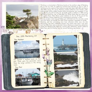 Travel Log: Monterey