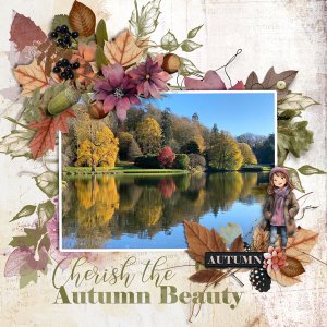 fall-leaves-et-designs.jpg