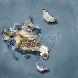 Butterflies
