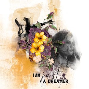 I am just a dreamer