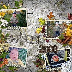 Seasons 2008