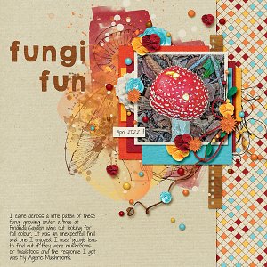 Fungi Fun