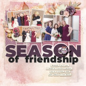 Seasons of Friendship