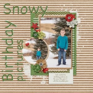 Snowy Birthday Pictures