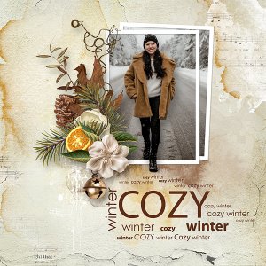 cozy winter