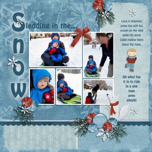 Snow Sledding