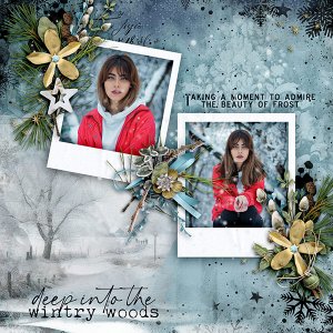 In the Wintry Woods