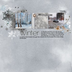 Frosty winter by et designs