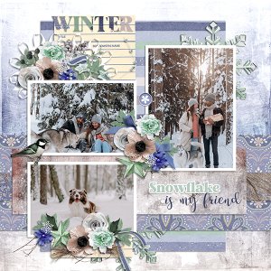 winter-friends.jpg