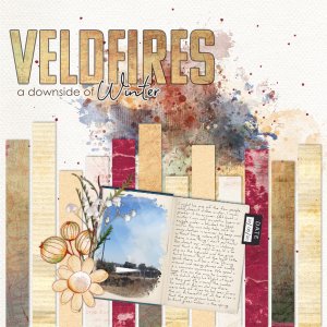 2020-06-27_Veldfires