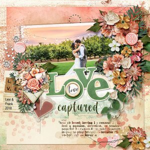 Love Captured