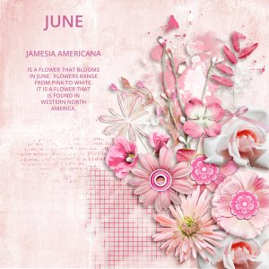 JUNE--SHOW-MAR24---WEB.jpg