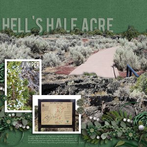 Juniper at Hell's Half Acre