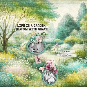 Bloom with Grace