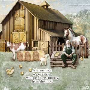 Farmer.jpg