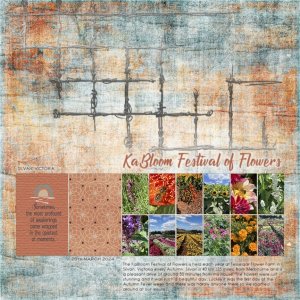 KaBloom Festival of Flowers