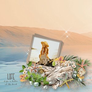 Serenity Tides