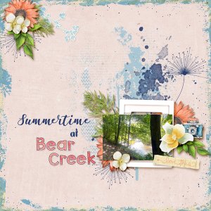 Summertime at Bear Creek