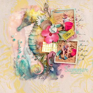 Summer Memories