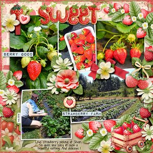 Sweet Strawberry Picking