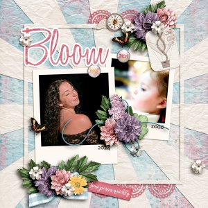 Bloom