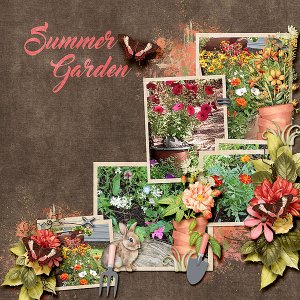 Summer Garden